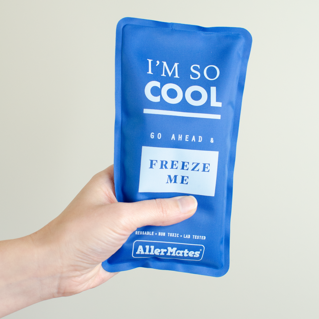 Reusable Long Lasting Ice Pack for