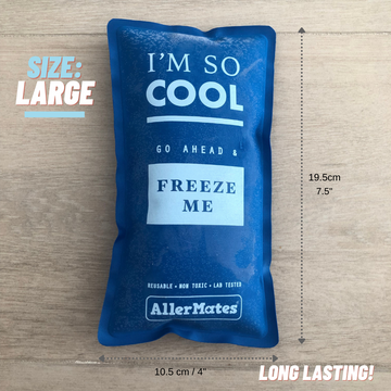 Long Lasting Ice Pack (sz: Large)