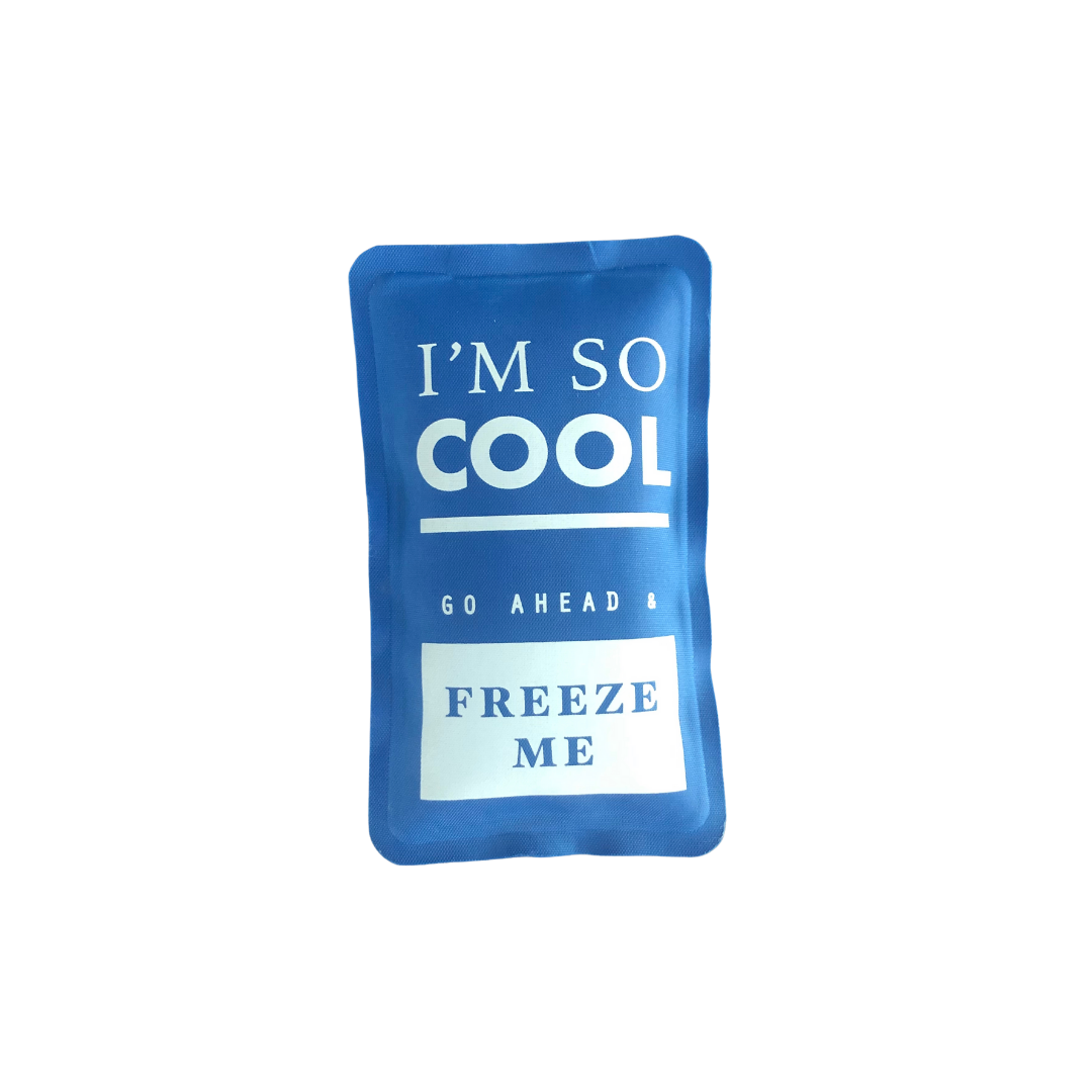 Long Lasting Ice Pack (sz: Small)