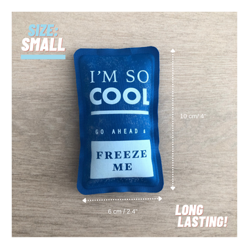 Long Lasting Ice Pack (sz: Small)