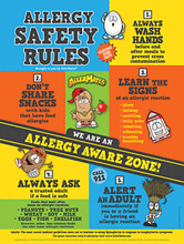 Food Allergy Safety Rules Poster sz 18"x24"